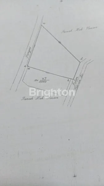 image DIJUAL BU RUMAH WALET DI PURWOSARI, PASURUAN (4)