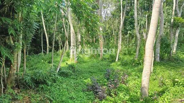 image TANAH KOSONG LUAS, HANYA 200 M DARI JALAN UTAMA CEPOKO GUNUNG PATI (5)