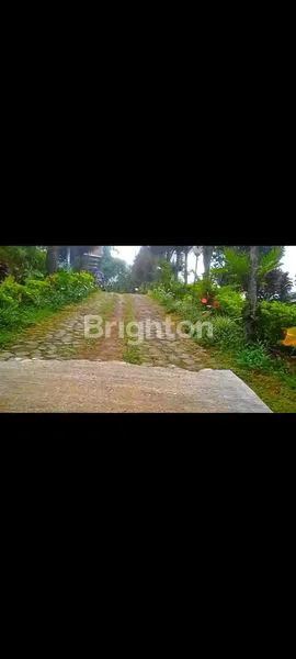 image VILLA MURAH NOL JALAN DI TOSARI PASURUAN (1)