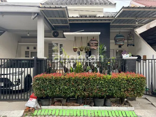 image RUMAH NYAMAN DI IKAN IKAN MALANG (6)