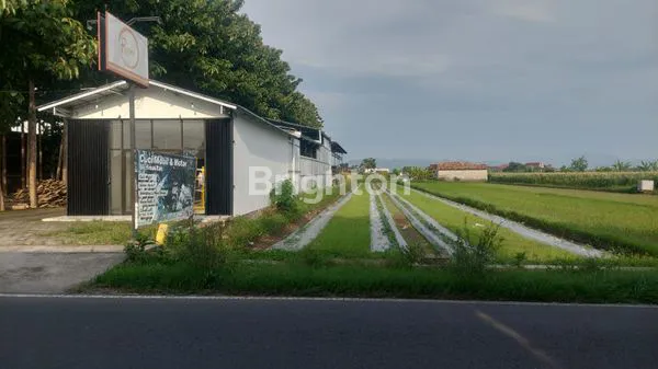 image TANAH MURAH SAWAH DIPINGGIR JALAN UTAMA, KAWASAN BERKEMBANG (1)