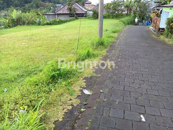 image TANAH VIEW DANAU BERATAN SUPER BAGUS BEDUGUL (3)