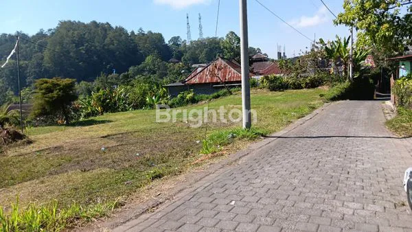 image TANAH VIEW DANAU BERATAN SUPER BAGUS BEDUGUL (5)
