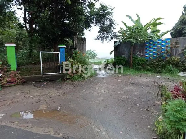 image KAVLING / KEBUN DI KAWASAN KOPO CITEKO CISARUA - BOGOR (1)