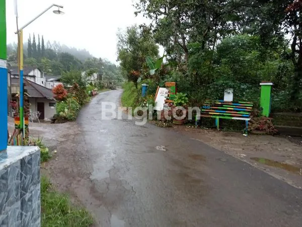 image KAVLING / KEBUN DI KAWASAN KOPO CITEKO CISARUA - BOGOR (2)