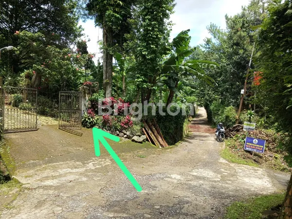 Gambar Property TANAH LOKASI DI KAMPUNG TAPOS CIJERUK KABUPATEN BOGOR