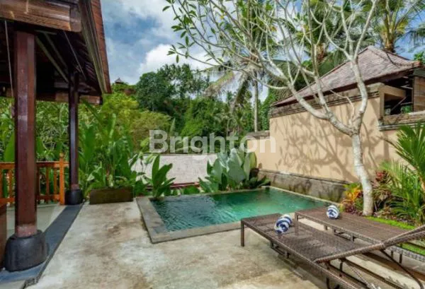 image BEST LOCATED UBUD HOTEL IN BALI (5)