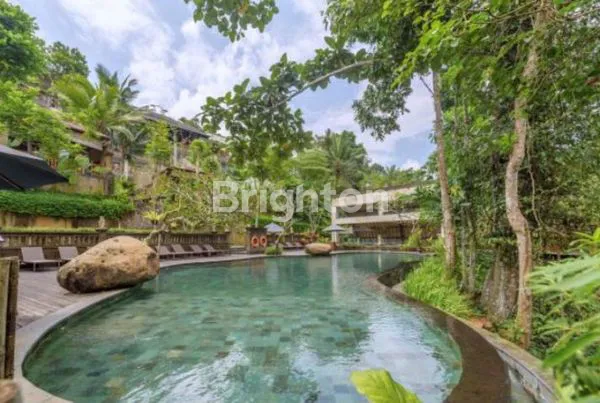 image BEST LOCATED UBUD HOTEL IN BALI (7)