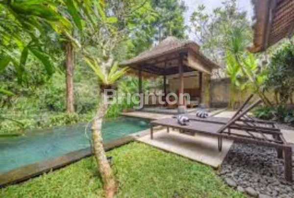 image BEST LOCATED UBUD HOTEL IN BALI (8)