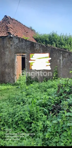 RUMAH HITUNG TANAH DEKAT ALUN - ALUN KELET DI KOTA JEPARA