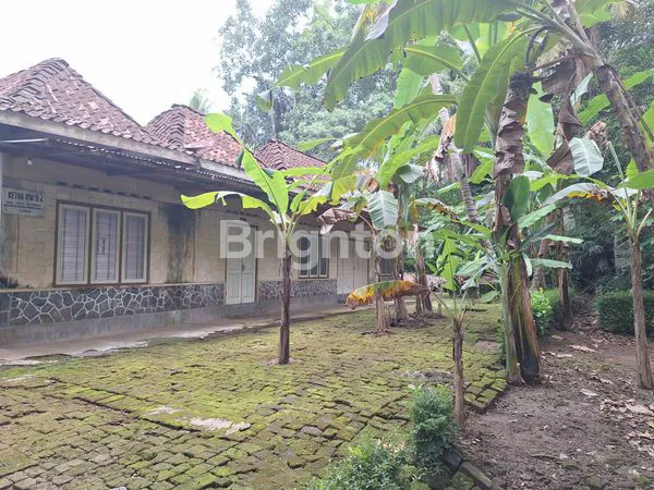 image TANAH PEKARANGAN LUAS, MURAH, NEGO SAMPAI JADI. (3)