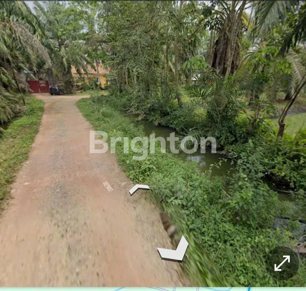 image TANAH DI DABUK ADA KOLAM N SAWIT (3)