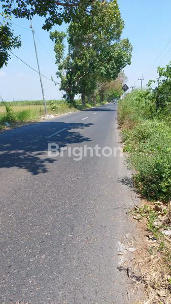 image TANAH KERING, NOL JALAN RAYA, ZONA KUNING, SUDAH URUG, SIDOARJO (1)
