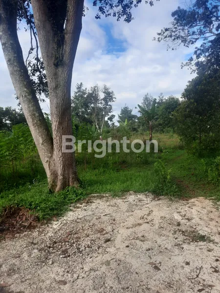 image TANAH LOKASI DI PASIR ANGIN, KECAMATAN MEGA MENDUNG, KABUPATEN BOGOR (3)