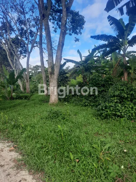 image TANAH LOKASI DI PASIR ANGIN, KECAMATAN MEGA MENDUNG, KABUPATEN BOGOR (4)