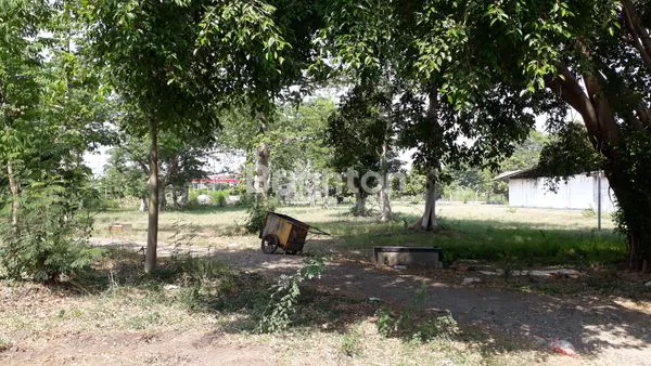 image GUDANG TANAH BYPASS MOJOKERTO (7)