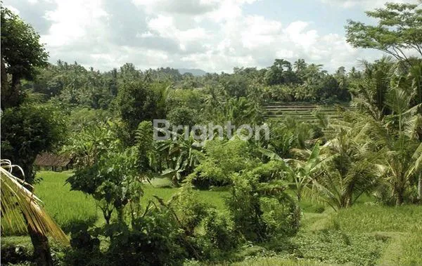 image (TURUN HARGA!) TANAH EKSLUSIF 2,7 HA DI BUKIT BATU, GIANYAR, DEKAT UBUD (2)