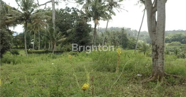image (TURUN HARGA!) TANAH EKSLUSIF 2,7 HA DI BUKIT BATU, GIANYAR, DEKAT UBUD (5)