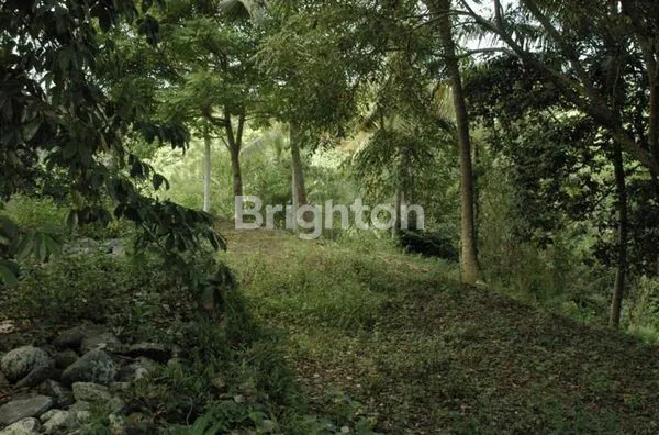 image (TURUN HARGA!) TANAH EKSLUSIF 2,7 HA DI BUKIT BATU, GIANYAR, DEKAT UBUD (6)