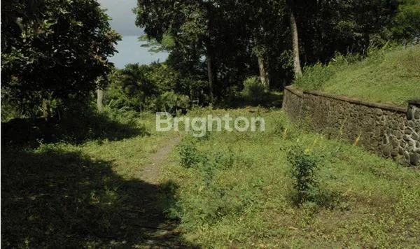 image (TURUN HARGA!) TANAH EKSLUSIF 2,7 HA DI BUKIT BATU, GIANYAR, DEKAT UBUD (7)