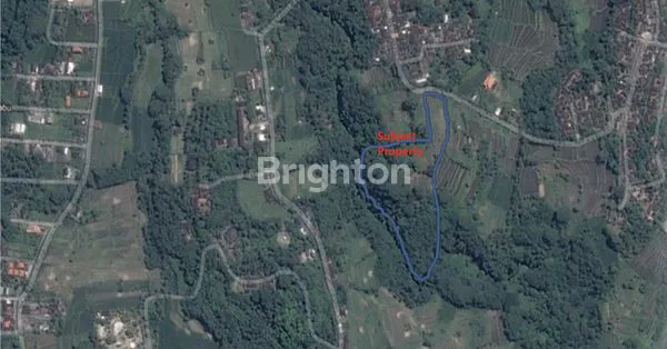 image (TURUN HARGA!) TANAH EKSLUSIF 2,7 HA DI BUKIT BATU, GIANYAR, DEKAT UBUD (1)