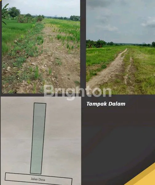 image TANAH STRATEGIS RANDEGANSARI COCOK UNTUNG GUDANG DAN PERUMAHAN  (1)