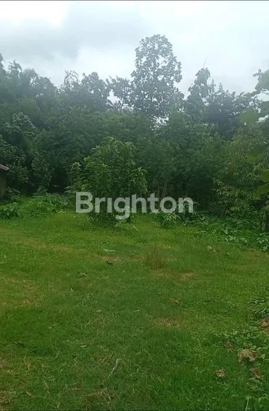 DI JUAL TANAH WATES KEDIRI