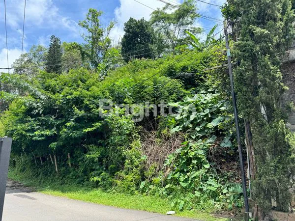 image TANAH SUBUR BISA  BUAT VILLA, RUMAH, RESTORAN DI CIPAKU BANDUNG (4)