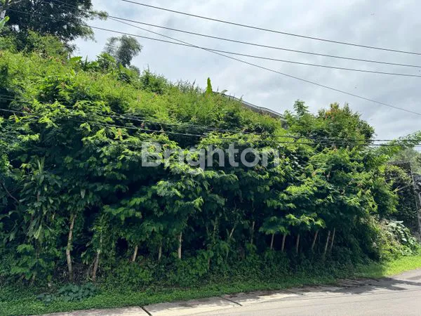 image TANAH SUBUR BISA  BUAT VILLA, RUMAH, RESTORAN DI CIPAKU BANDUNG (6)