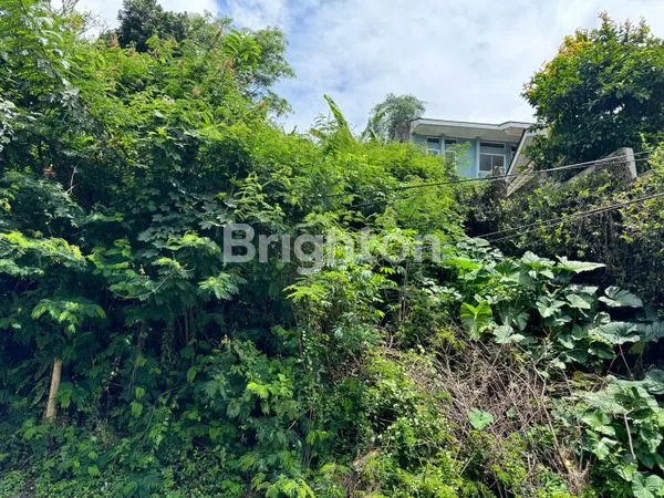 image TANAH SUBUR BISA  BUAT VILLA, RUMAH, RESTORAN DI CIPAKU BANDUNG (7)