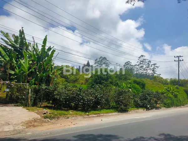 image TANAH KOSONG DI BRASTAGI (4)