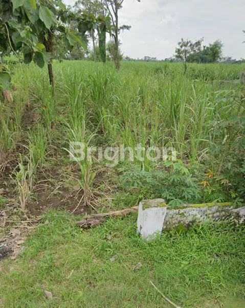 image TANAH 20X 166 KUNJANG WATES KEDIRI (1)