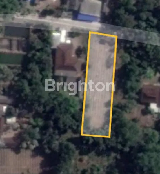 SEBIDANG TANAH PERUMAHAN DI DESA DADAPLANGGU PONGGOK BLITAR