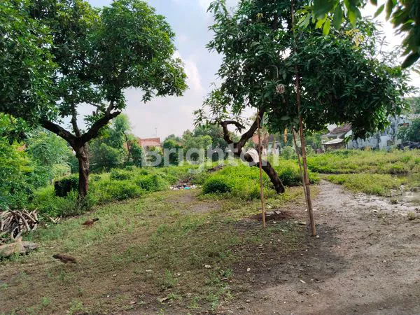 TANAH LUAS, SUDAH KONDISI KERING