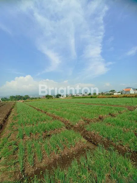 image KAVLING SAWAH DI JUNREJO KOTA BATU AKSES DEKAT JALAN (2)