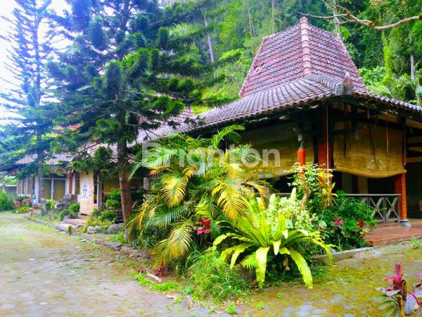 image TANAH BONUS  JOGLO AREA WISATA REKREASI TLOGO PUTRI KALIURANG ATAS, TEMPATNYA HEALING, (3)