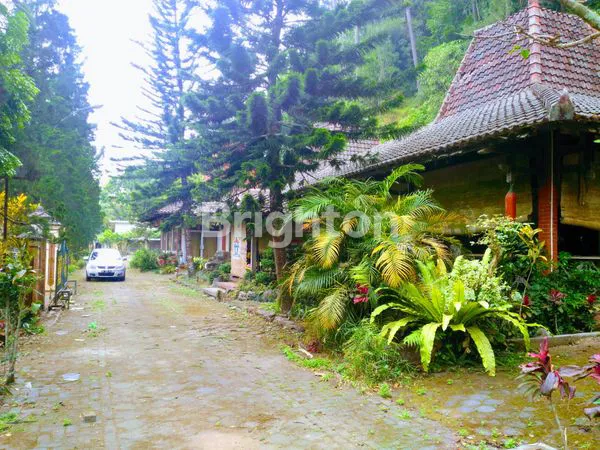 image TANAH BONUS  JOGLO AREA WISATA REKREASI TLOGO PUTRI KALIURANG ATAS, TEMPATNYA HEALING, (4)