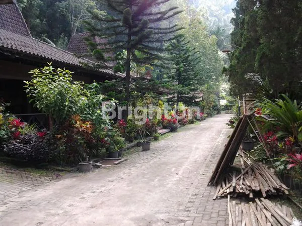 image TANAH BONUS  JOGLO AREA WISATA REKREASI TLOGO PUTRI KALIURANG ATAS, TEMPATNYA HEALING, (5)