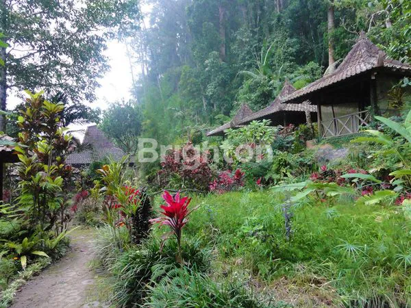 image TANAH BONUS  JOGLO AREA WISATA REKREASI TLOGO PUTRI KALIURANG ATAS, TEMPATNYA HEALING, (6)
