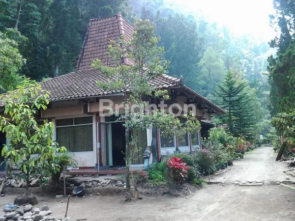 image TANAH BONUS  JOGLO AREA WISATA REKREASI TLOGO PUTRI KALIURANG ATAS, TEMPATNYA HEALING, (7)