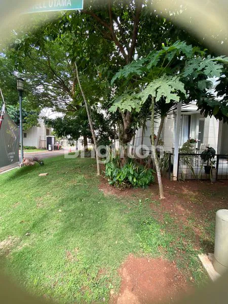 image MAXWELL GADING SERPONG  (3)