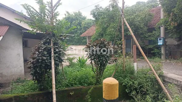 image TANAH LT 1.790 M2 BONUS BANGUNAN DIATASNYA PINGGIR JALAN PROPINSI DI JALAN RAYA COBANSARI, COBAN BLIMBING, WONOREJO, PASURUAN (4)