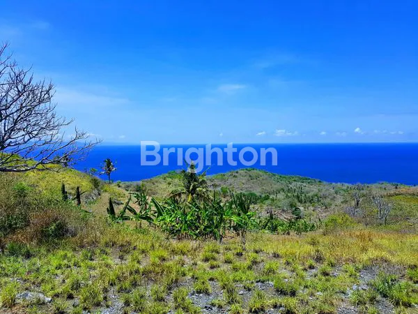Gambar Property TANAH KAVLING COCOK UNTUK VILLA DI NUSA PENIDA BALI