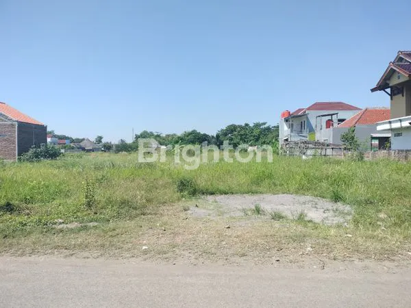 TANAH STRATEGIS DI JALAN KI MANGUNSARKORO KETAPANG KENDAL