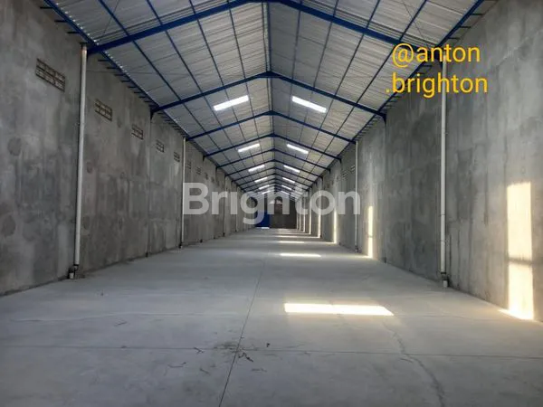 image GUDANG BARU ZONA MERAH (4)