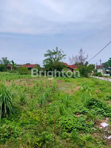 image TANAH KOSONG YANG LUAS  KEC.SUNGGAL  DELI SERDANG (5)