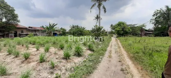 image TANAH KOSONG YANG LUAS  KEC.SUNGGAL  DELI SERDANG (4)