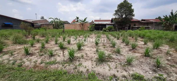 image TANAH KOSONG YANG LUAS  KEC.SUNGGAL  DELI SERDANG (3)