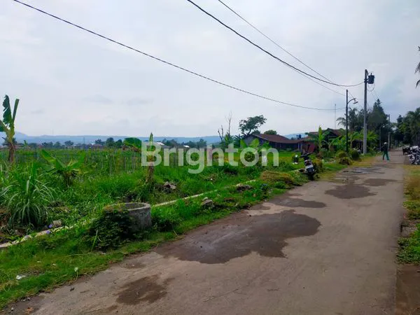 image TANAH LUAS PINGGIR JALAN ASPAL (1)