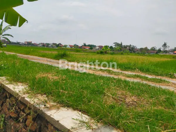 image TANAH LUAS PINGGIR JALAN ASPAL (2)